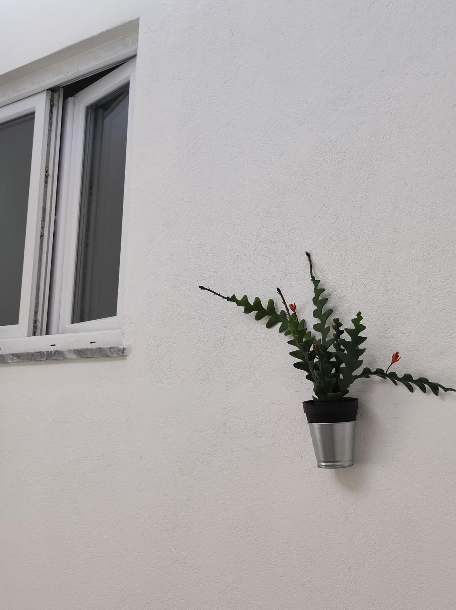 Divine Room Dystrykt Dystrykt Faro Zewnętrze zdjęcie